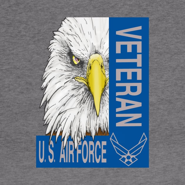 Veteran - US Air Force by JeffWittyArt